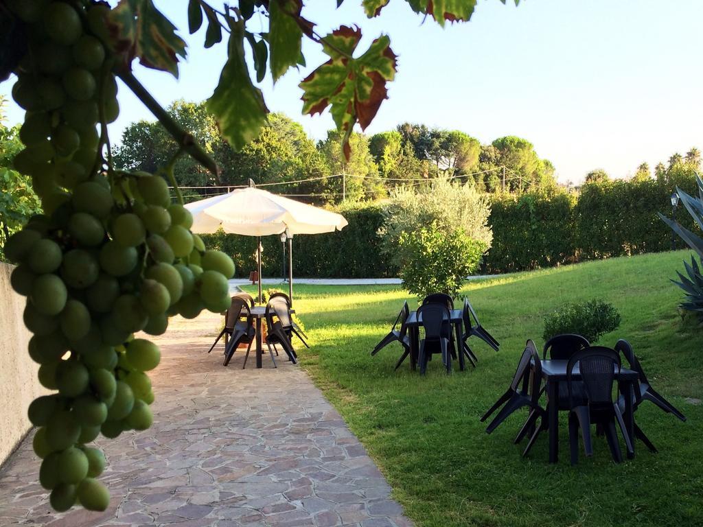 B&B Millennium Ladispoli Rum bild